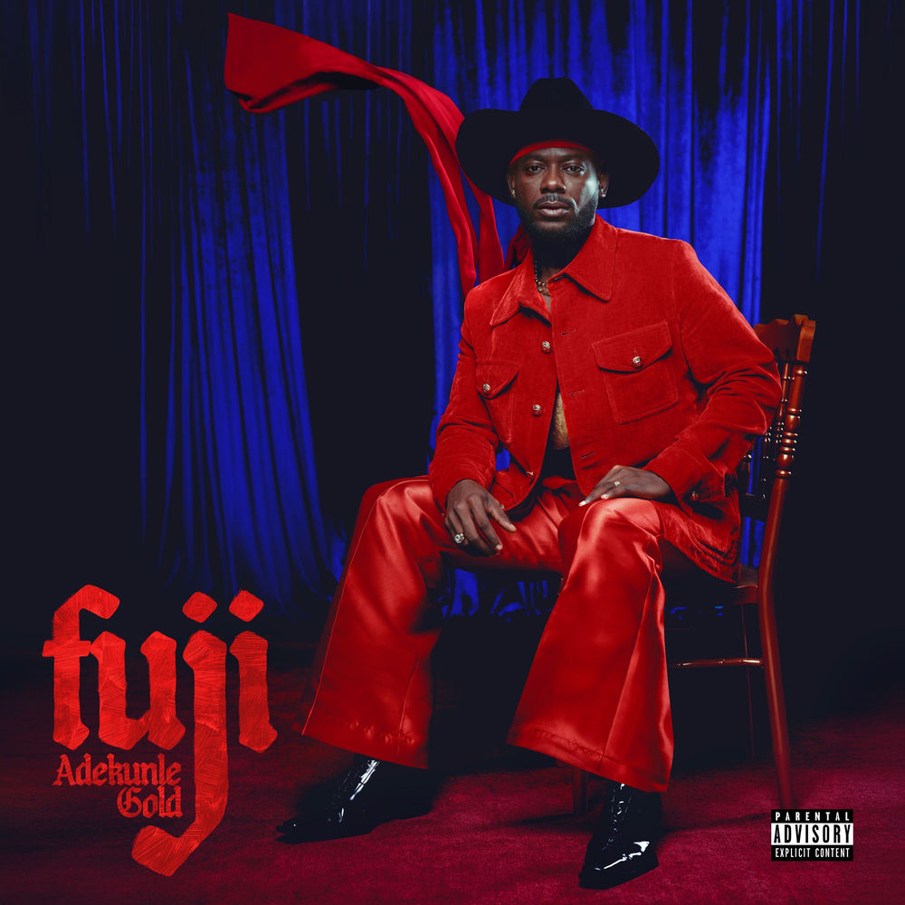 Fuji cover